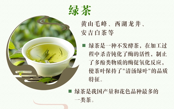 綠茶紅茶烏龍茶，如何挑選你的心頭好？